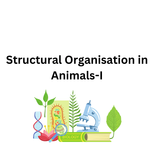 Structural Organsiation in Animals-I 